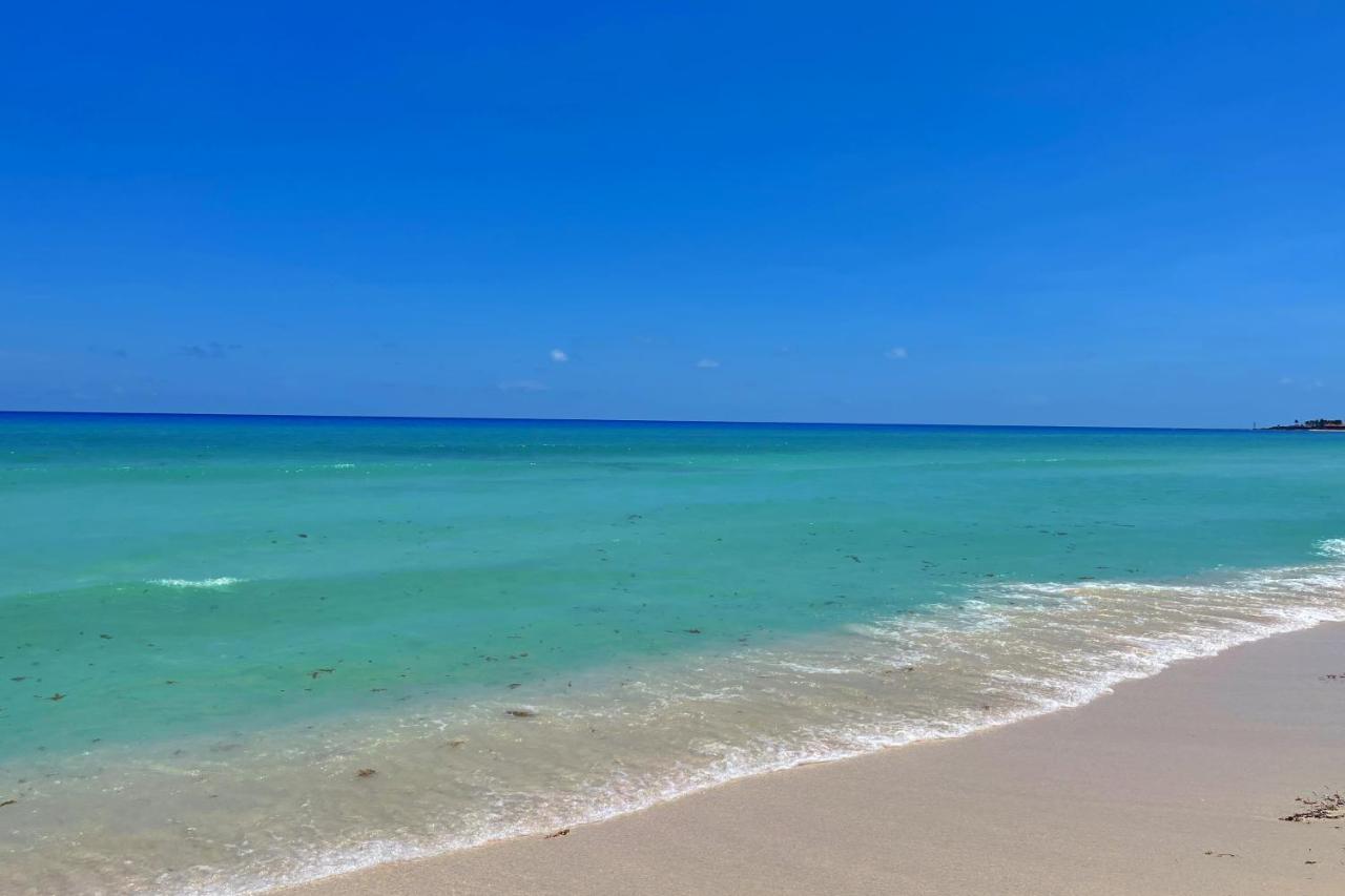 Renovated Studio In Cancun Beach At The Hotel Zone Bagian luar foto